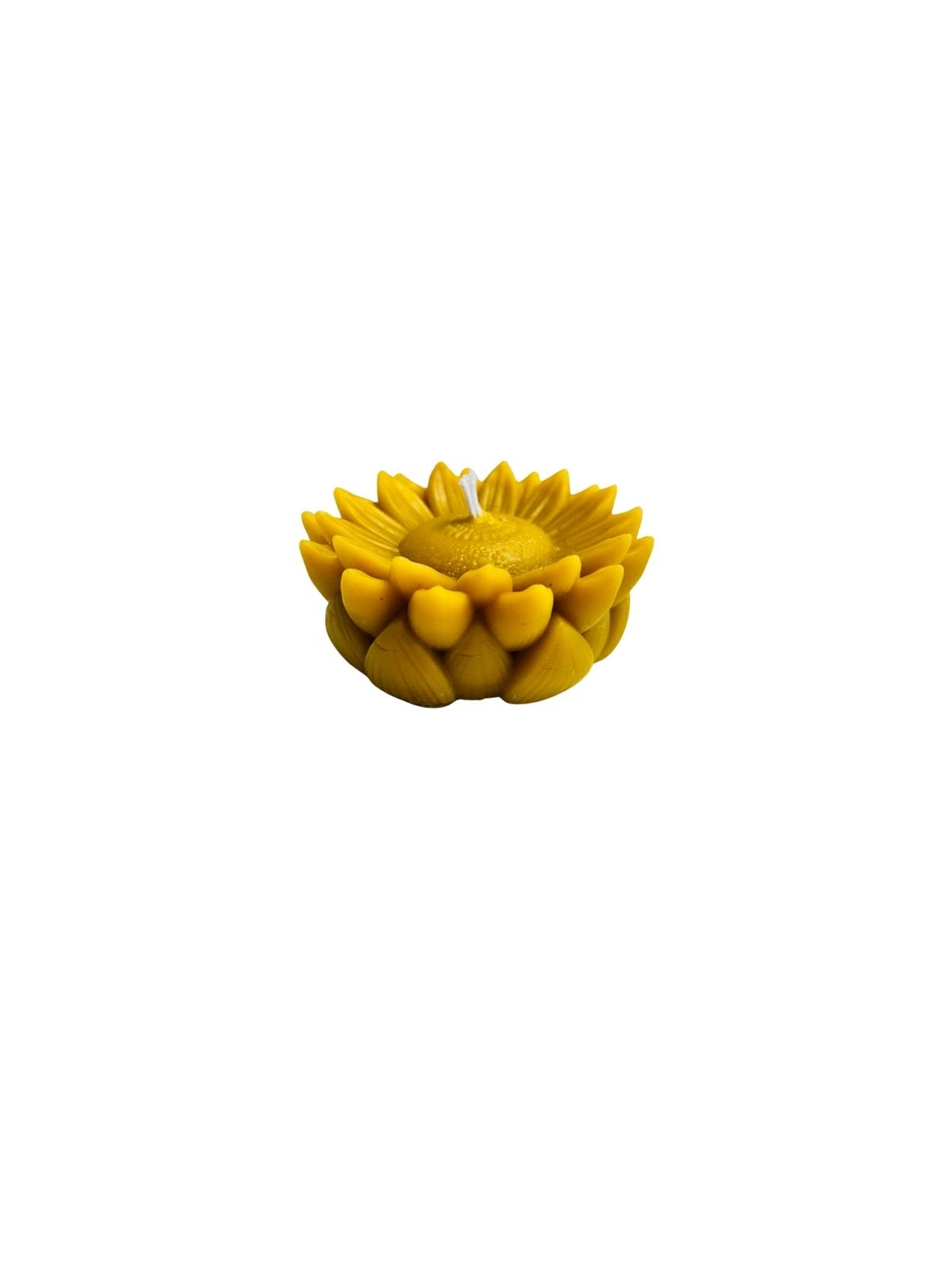 Lotus Çiçeği Balmumu